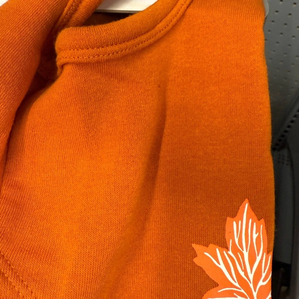 Hello Fall Dog Hoodie - Orange